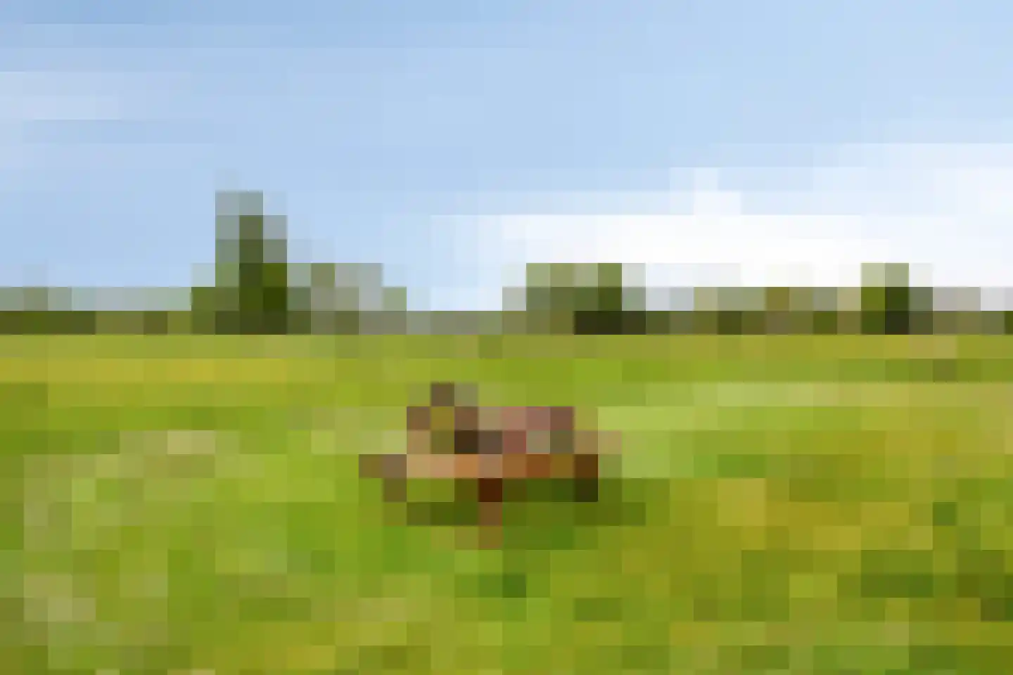Natuurschoonweg 7 Nietap thumbnail 38