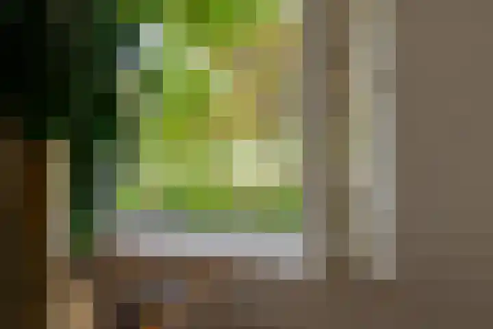 Natuursteenlaan 103 Zoetermeer thumbnail 13