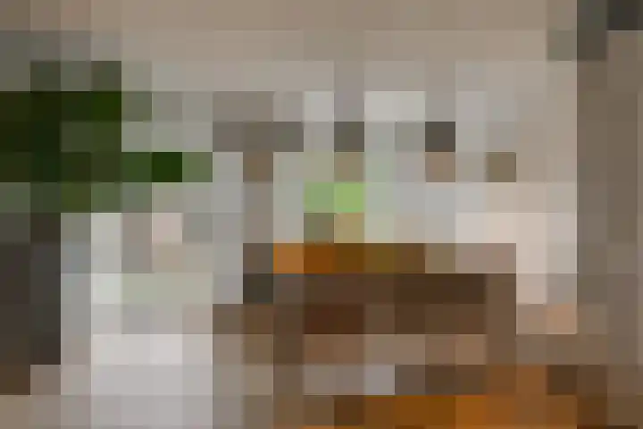Natuursteenlaan 103 Zoetermeer thumbnail 15