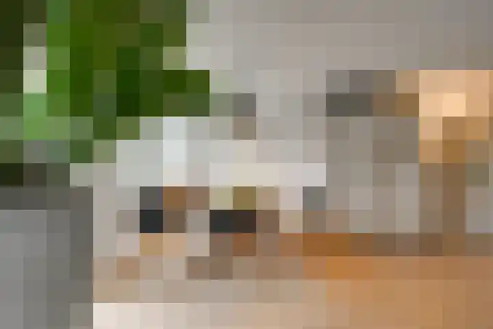 Natuursteenlaan 103 Zoetermeer thumbnail 20