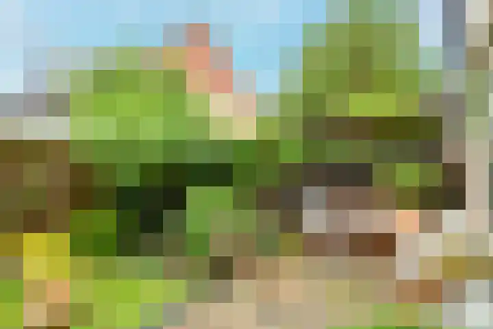 Natuursteenlaan 103 Zoetermeer thumbnail 22