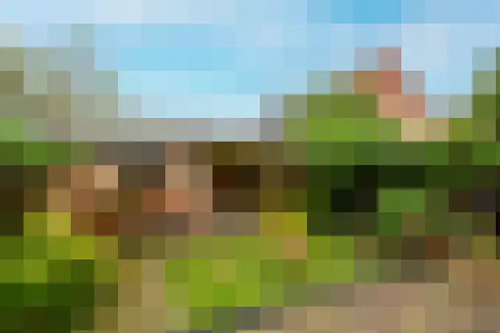 Natuursteenlaan 103 Zoetermeer thumbnail 23