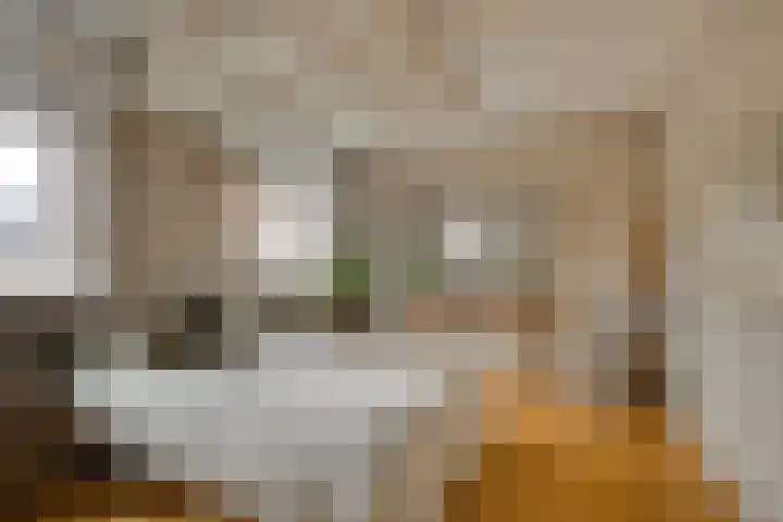 Natuursteenlaan 103 Zoetermeer thumbnail 35