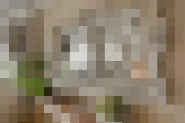 Natuursteenlaan 103 Zoetermeer thumbnail 36