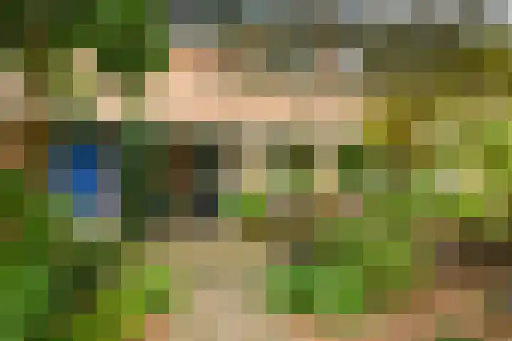 Natuursteenlaan 103 Zoetermeer thumbnail 4