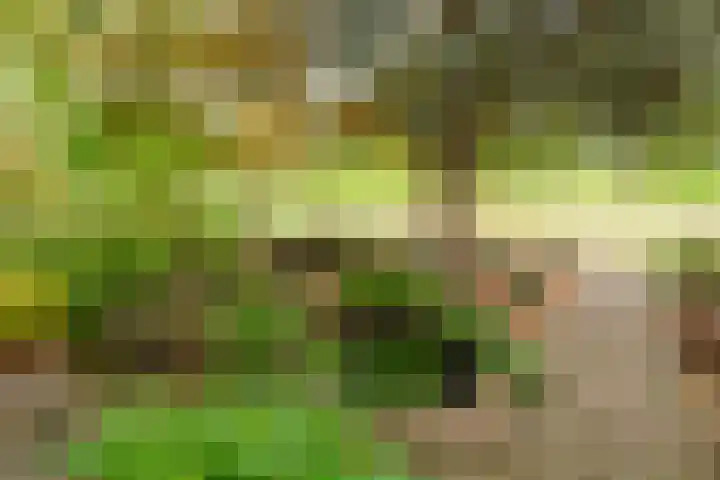 Natuursteenlaan 103 Zoetermeer thumbnail 5