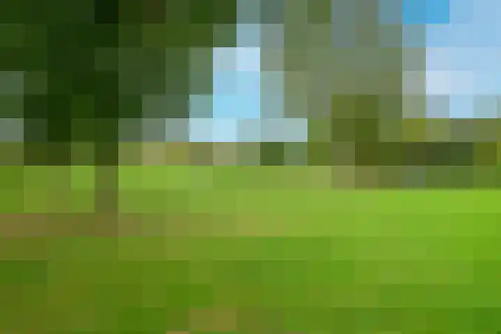 Natuursteenlaan 103 Zoetermeer thumbnail 54