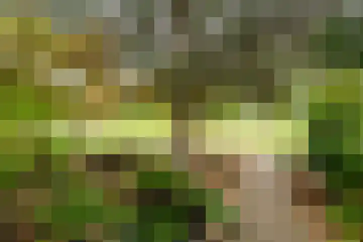 Natuursteenlaan 103 Zoetermeer thumbnail 6