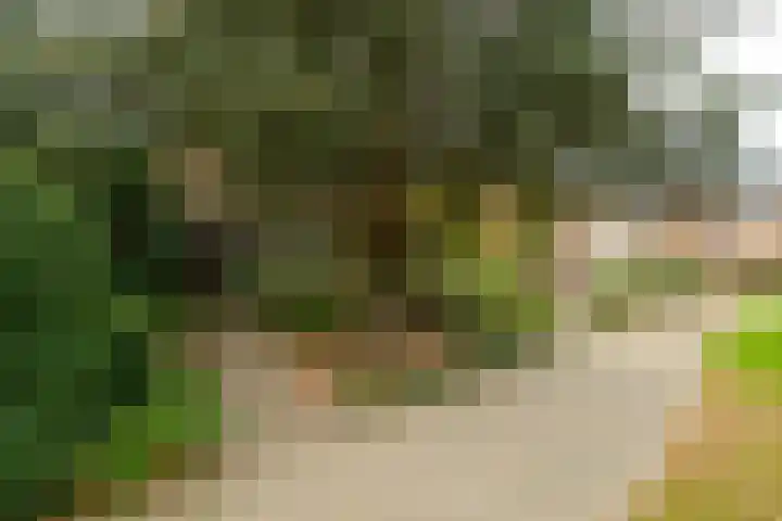 Natuursteenlaan 103 Zoetermeer thumbnail 7