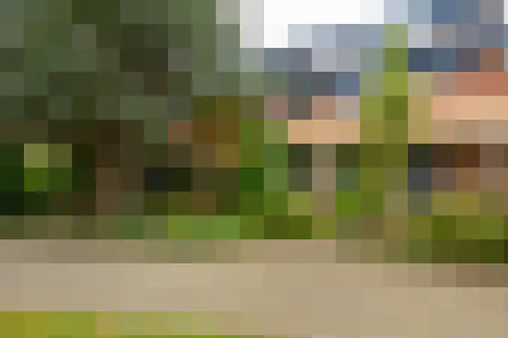 Natuursteenlaan 103 Zoetermeer thumbnail 8