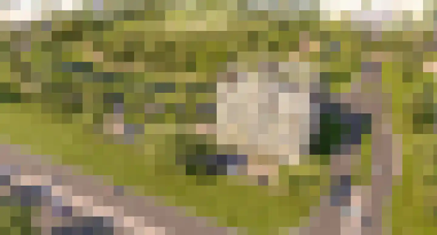 Natuursteenlaan 205 Zoetermeer thumbnail 6