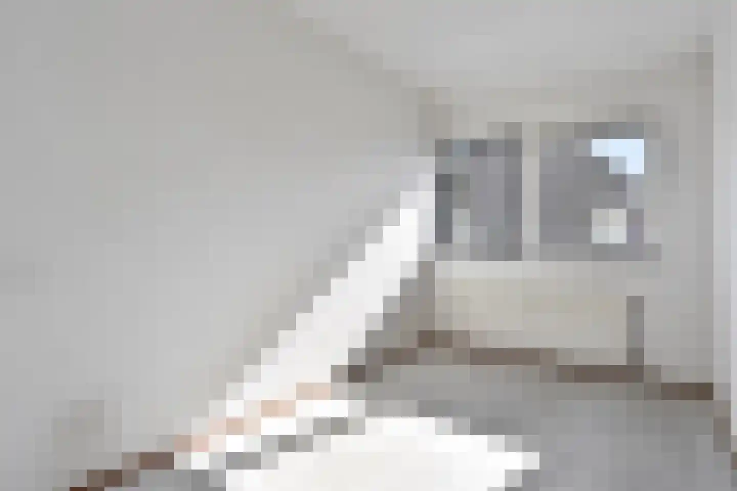 Natuursteenlaan 33 Zoetermeer thumbnail 18