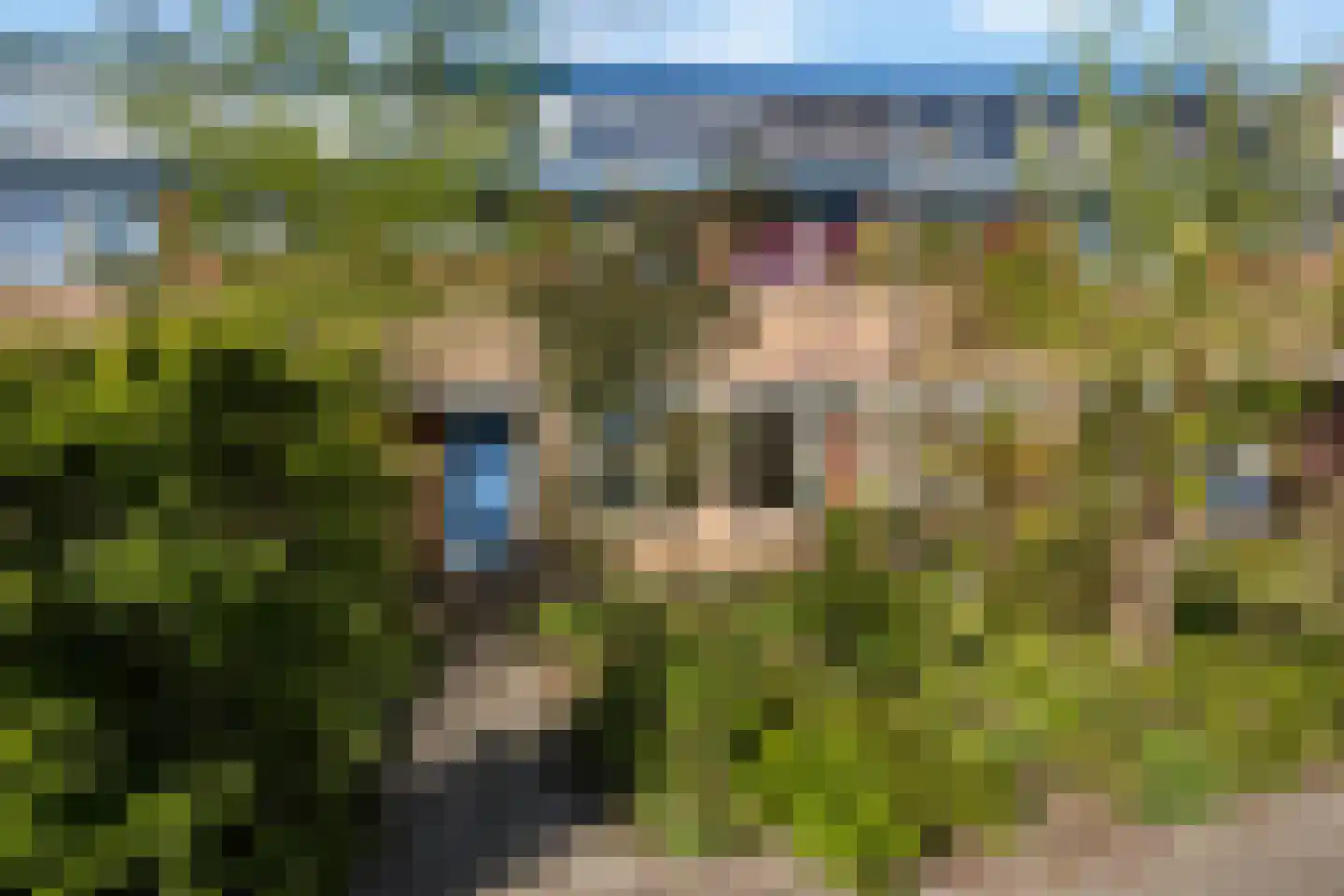 Natuursteenlaan 91 Zoetermeer thumbnail 33