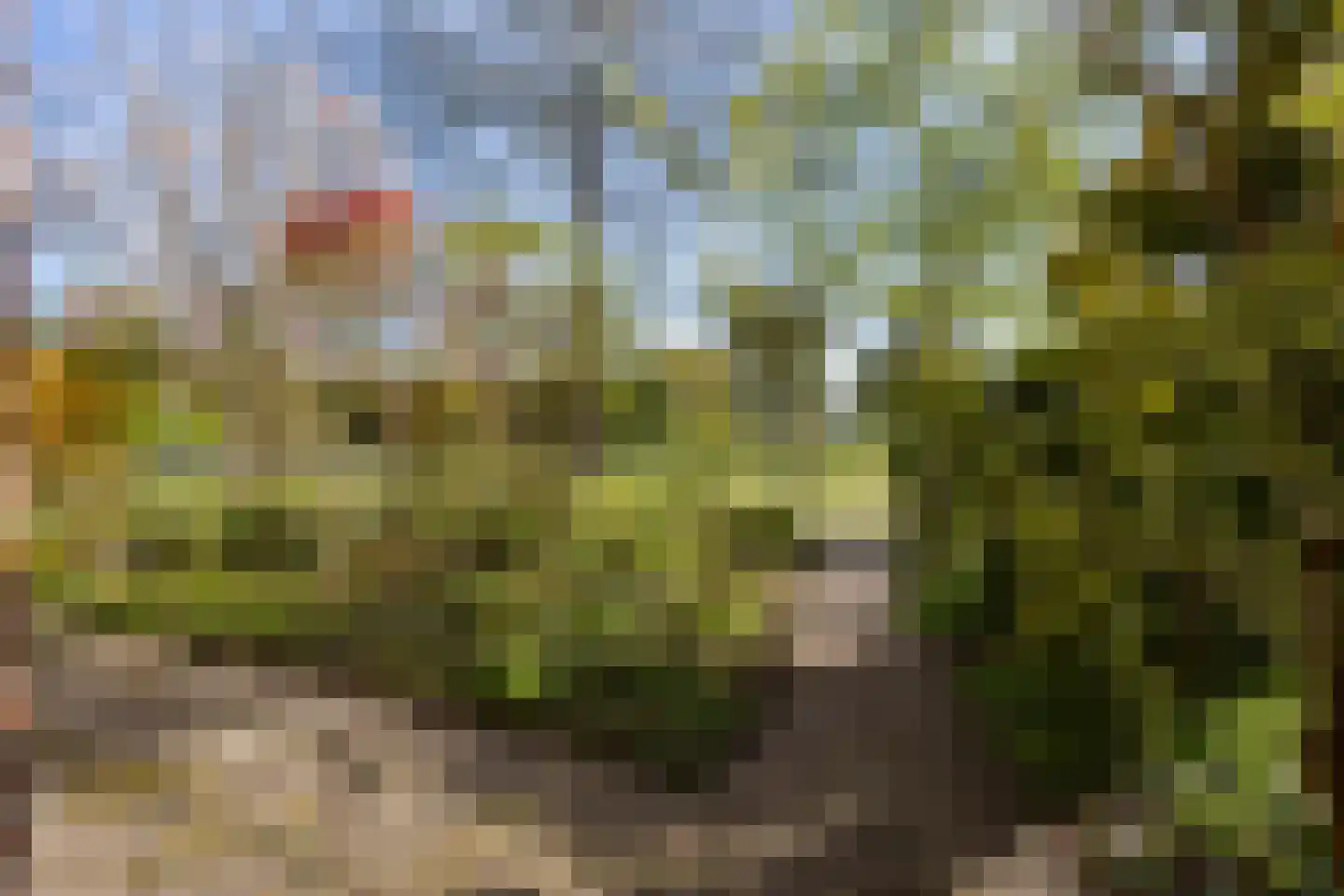 Natuursteenlaan 91 Zoetermeer thumbnail 34