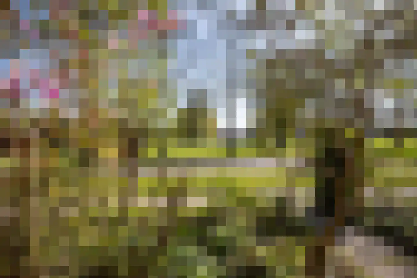 Natuursteenlaan 91 Zoetermeer thumbnail 35