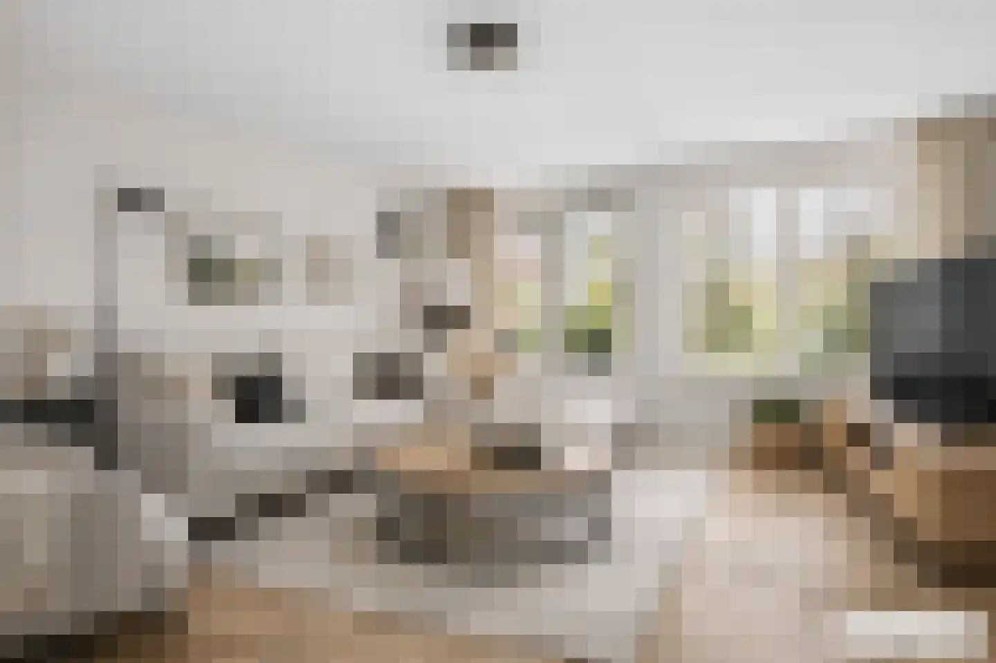 Natuursteenlaan 91 Zoetermeer thumbnail 5