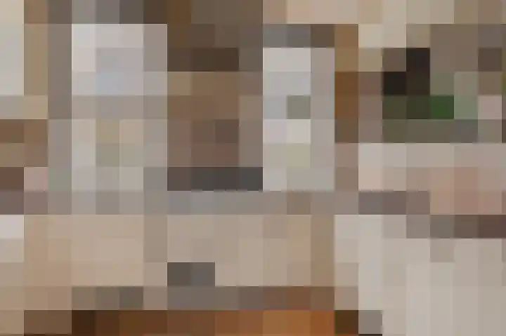 Nauerna 12 Assendelft thumbnail 13