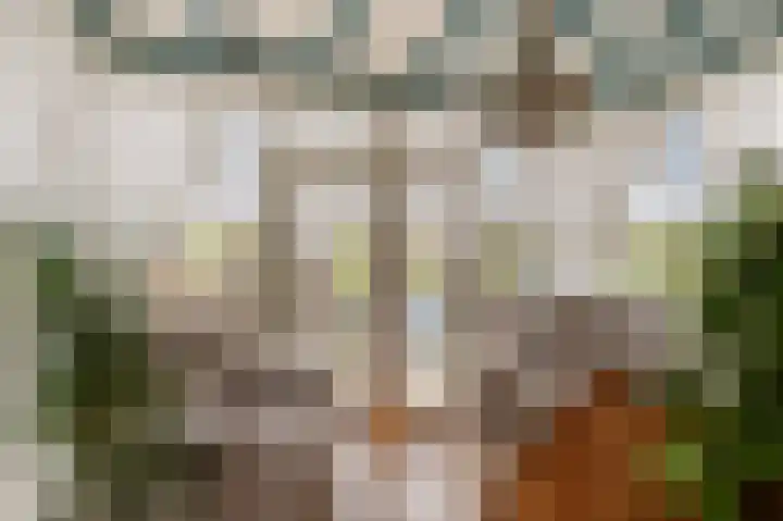 Nauerna 12 Assendelft thumbnail 17