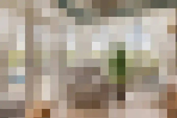 Nauerna 12 Assendelft thumbnail 18