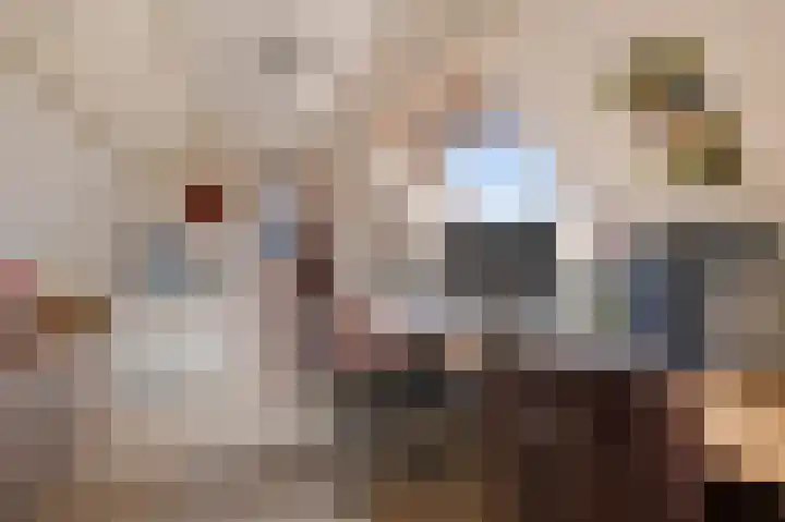 Nauerna 12 Assendelft thumbnail 25