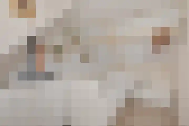 Nauerna 12 Assendelft thumbnail 28