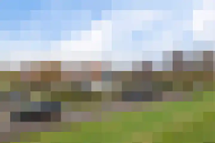 Nauerna 12 Assendelft thumbnail 37