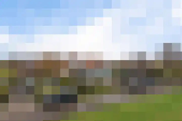 Nauerna 12 Assendelft thumbnail 5