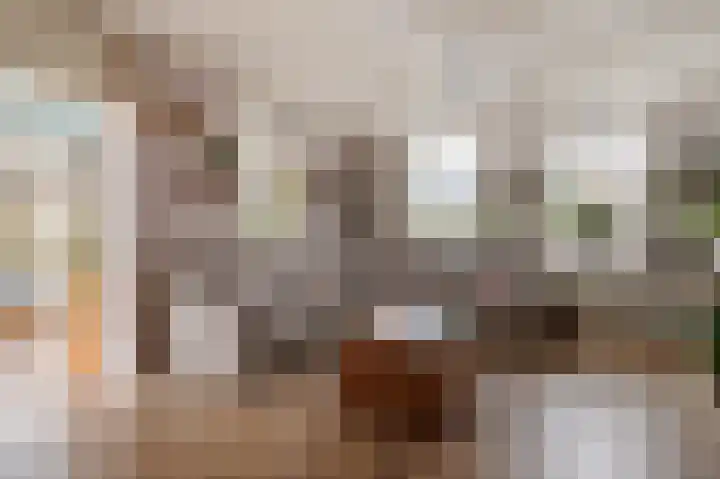 Nauerna 12 Assendelft thumbnail 8