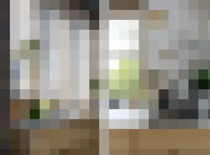 Nauerna 17 Assendelft thumbnail 10