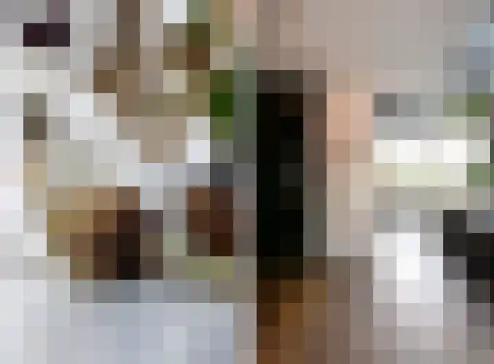 Nauerna 17 Assendelft thumbnail 12