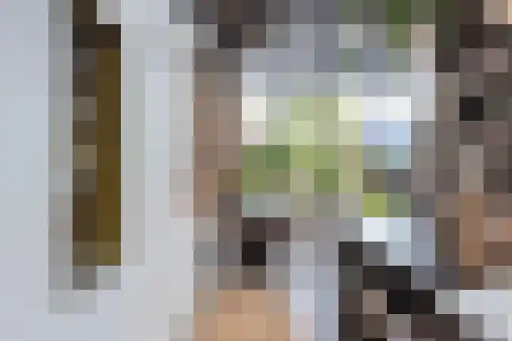 Nauerna 17 Assendelft thumbnail 13