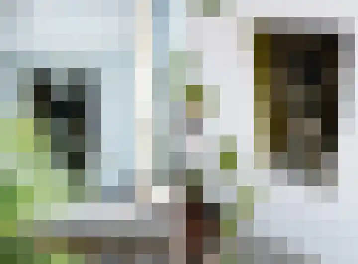 Nauerna 17 Assendelft thumbnail 14