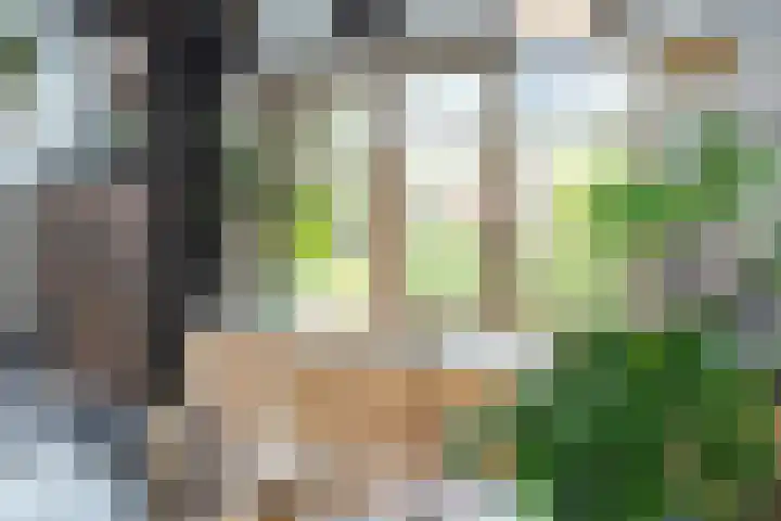 Nauerna 17 Assendelft thumbnail 15