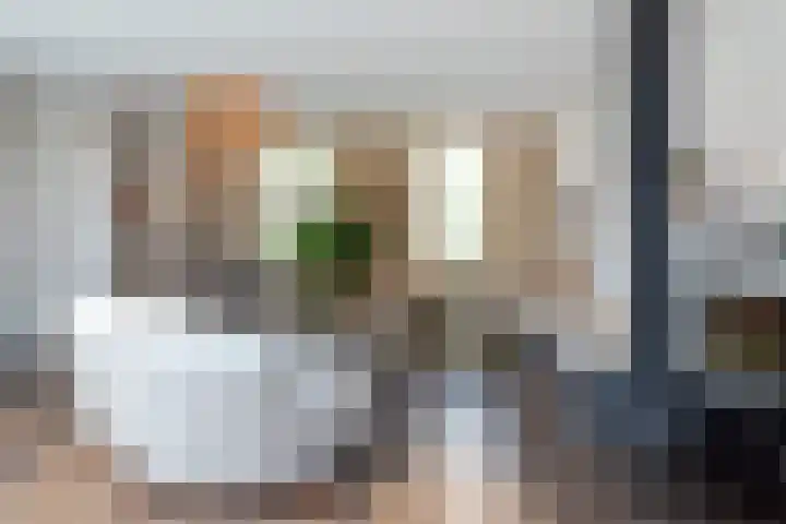 Nauerna 17 Assendelft thumbnail 17