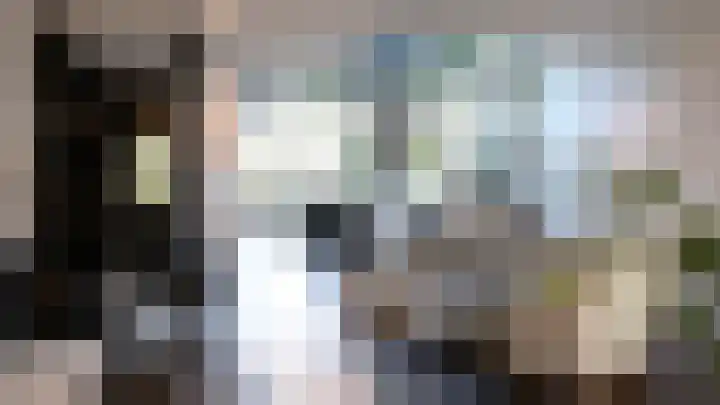 Nauerna 17 Assendelft thumbnail 18