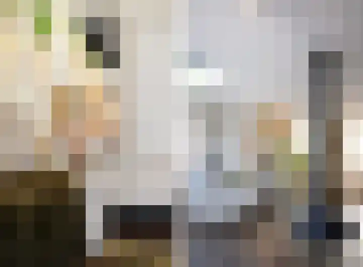 Nauerna 17 Assendelft thumbnail 19