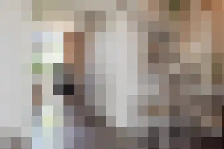 Nauerna 17 Assendelft thumbnail 20