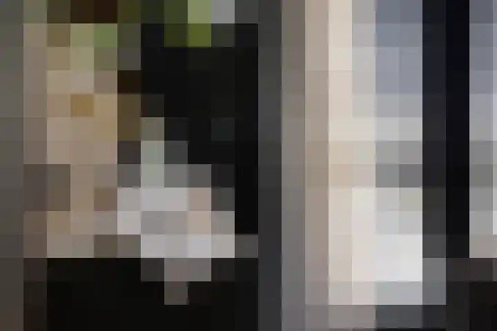 Nauerna 17 Assendelft thumbnail 25