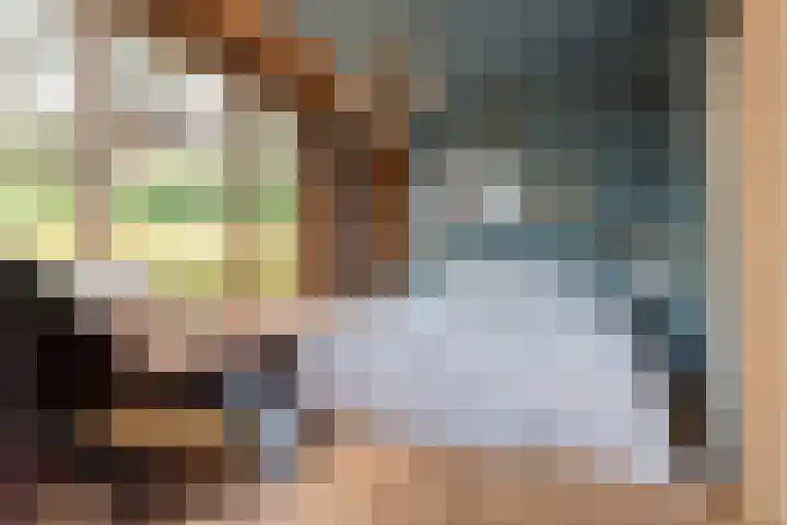 Nauerna 17 Assendelft thumbnail 30