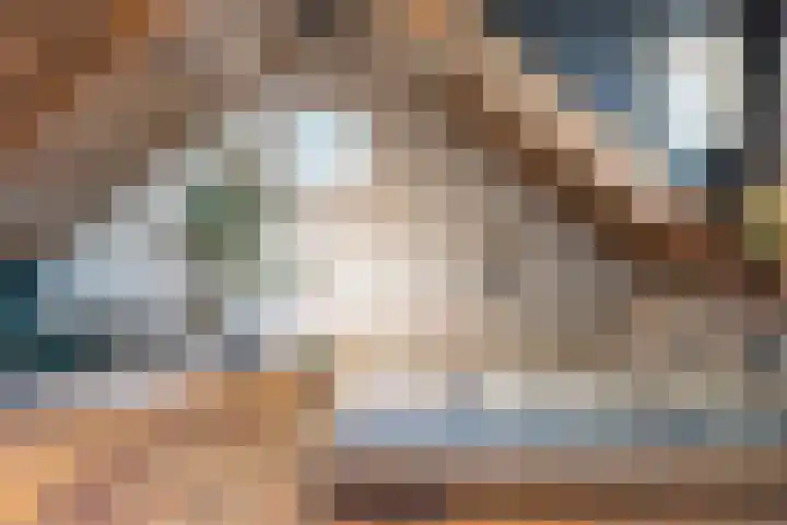 Nauerna 17 Assendelft thumbnail 37