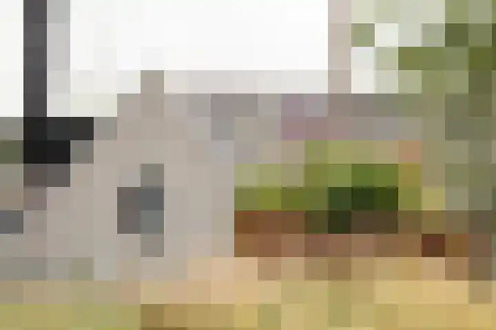 Nauerna 17 Assendelft thumbnail 38