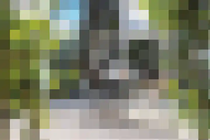 Nauerna 17 Assendelft thumbnail 4