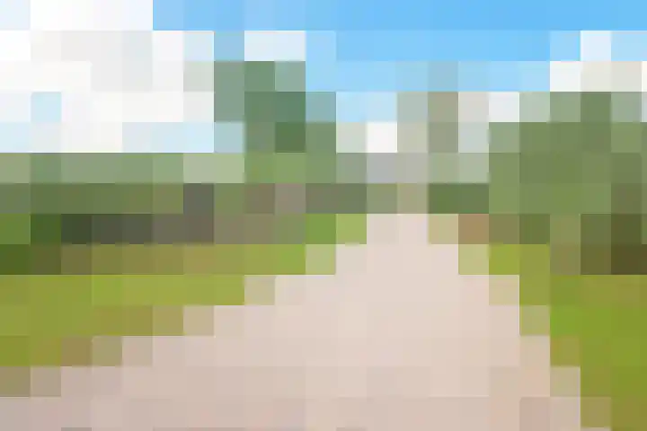 Nauerna 17 Assendelft thumbnail 44