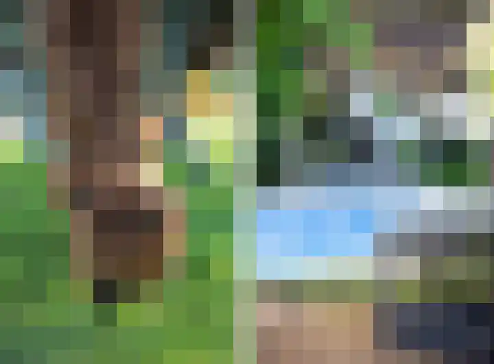 Nauerna 17 Assendelft thumbnail 45