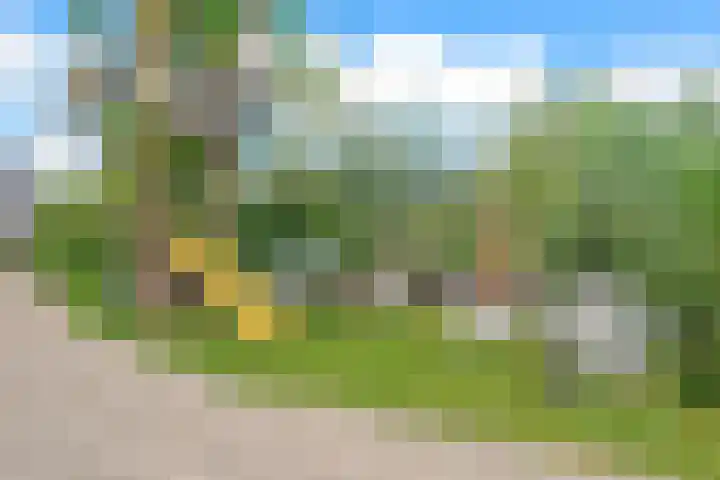 Nauerna 17 Assendelft thumbnail 46
