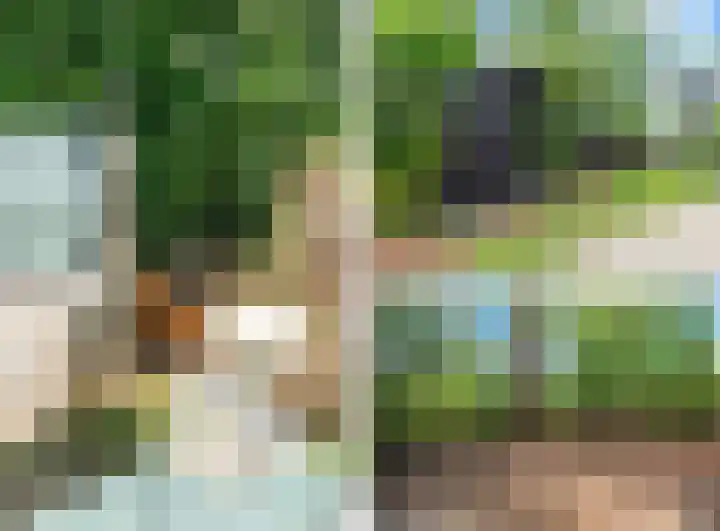 Nauerna 17 Assendelft thumbnail 47