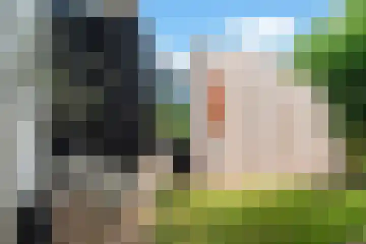 Nauerna 17 Assendelft thumbnail 48