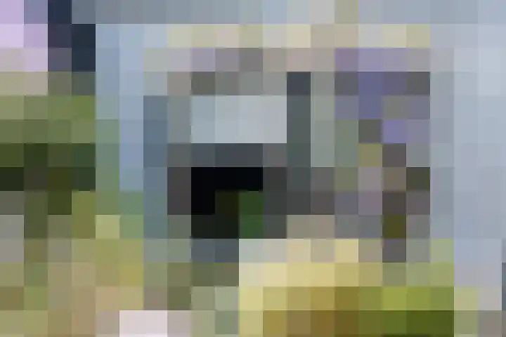 Nauerna 17 Assendelft thumbnail 50