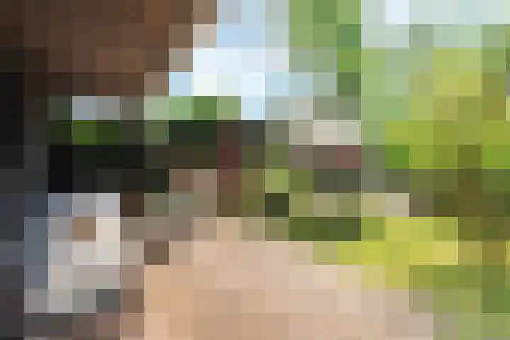 Nauerna 17 Assendelft thumbnail 51