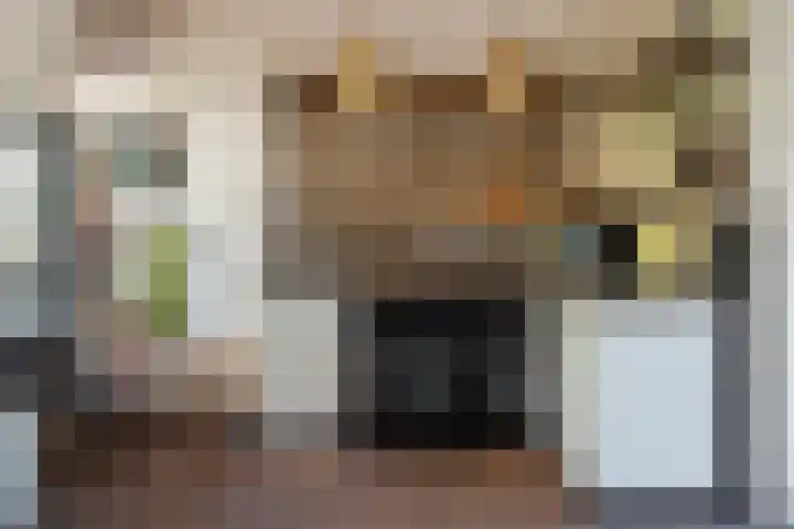 Nauerna 17 Assendelft thumbnail 53